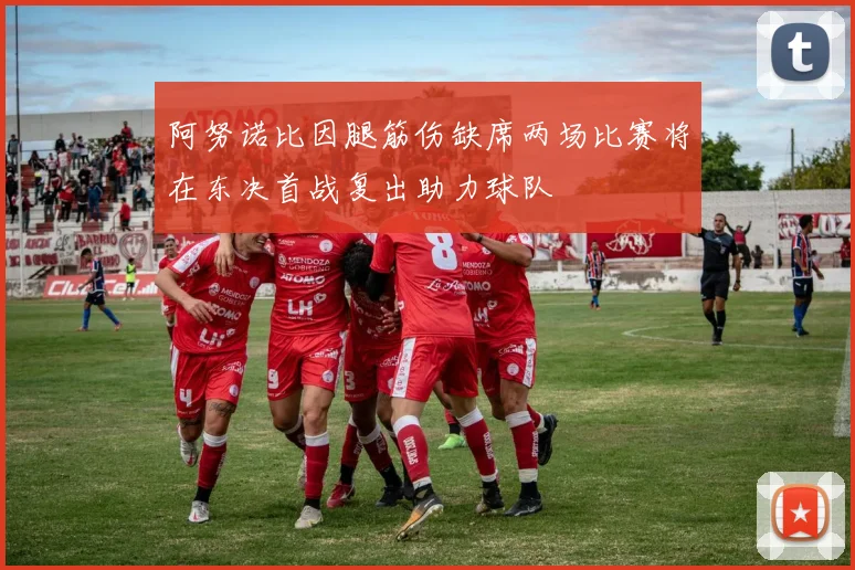 阿努诺比因腿筋伤缺席两场比赛将在东决首战复出助力球队