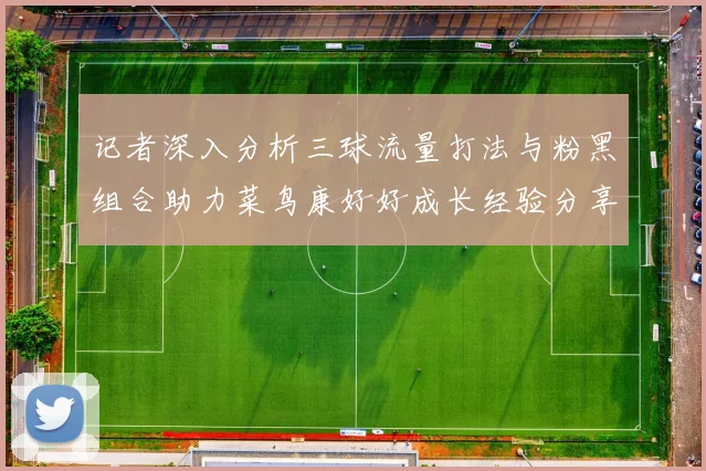 记者深入分析三球流量打法与粉黑组合助力菜鸟康好好成长经验分享